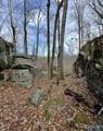 8 acres Bishop Mountain Road - Photo 8