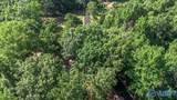 1296 County Road 1193 - Photo 29