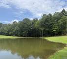 Lot 13 County Road 131 - Photo 3