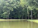 Lot 13 County Road 131 - Photo 5