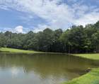 Lot 13 County Road 131 - Photo 6