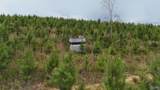 005 County Road 921 - Photo 2