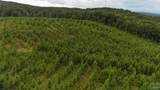 005 County Road 921 - Photo 6