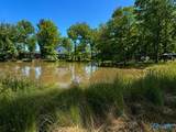 1725 County Road 182 - Photo 5