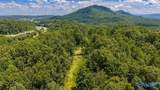 211 acres Beavers Road - Photo 11