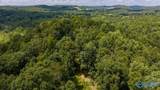 211 acres Beavers Road - Photo 12