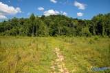 211 acres Beavers Road - Photo 14
