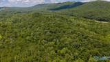 211 acres Beavers Road - Photo 23