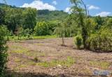 211 acres Beavers Road - Photo 30