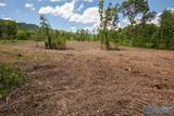 211 acres Beavers Road - Photo 31