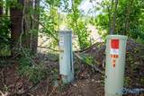 211 acres Beavers Road - Photo 32