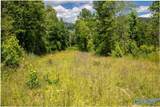 211 acres Beavers Road - Photo 37