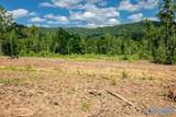 211 acres Beavers Road - Photo 38