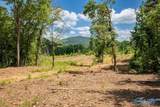 211 acres Beavers Road - Photo 39