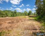 211 acres Beavers Road - Photo 41