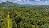 211 acres Beavers Road - Photo 9