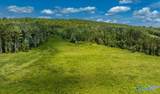 256 ACRES Lake Kathy Road - Photo 11