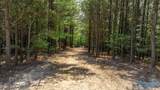 256 ACRES Lake Kathy Road - Photo 14