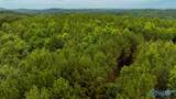 256 ACRES Lake Kathy Road - Photo 17