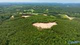 256 ACRES Lake Kathy Road - Photo 21