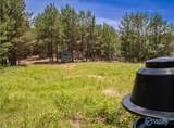 256 ACRES Lake Kathy Road - Photo 29