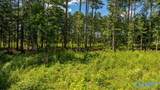256 ACRES Lake Kathy Road - Photo 3