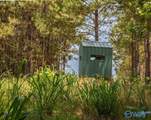 256 ACRES Lake Kathy Road - Photo 31