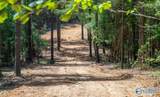 256 ACRES Lake Kathy Road - Photo 33