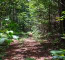256 ACRES Lake Kathy Road - Photo 34