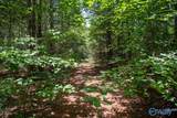 256 ACRES Lake Kathy Road - Photo 35