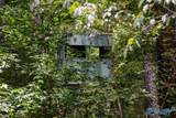 256 ACRES Lake Kathy Road - Photo 37