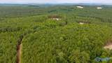 256 ACRES Lake Kathy Road - Photo 40