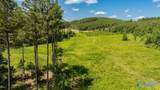 256 ACRES Lake Kathy Road - Photo 5