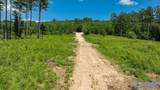 256 ACRES Lake Kathy Road - Photo 6