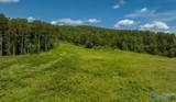 256 ACRES Lake Kathy Road - Photo 9