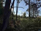 1.46 Acres 2nd Avenue - Photo 4