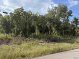 3.9 Acres Bishop Road - Photo 1