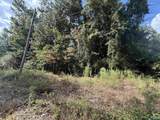 3.9 Acres Bishop Road - Photo 5