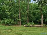 Lot 34 County Road 608 - Photo 1