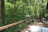 24406 Oak Drive - Photo 6