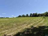 22 +/- ac Summerville Road - Photo 11
