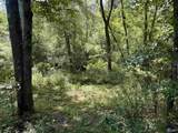 22 +/- ac Summerville Road - Photo 15