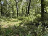 22 +/- ac Summerville Road - Photo 16