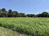 22 +/- ac Summerville Road - Photo 4