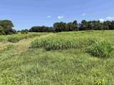 22 +/- ac Summerville Road - Photo 5