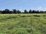 22 +/- ac Summerville Road - Photo 8