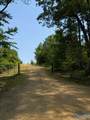 1755 County Road 155 - Photo 10