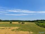 1755 County Road 155 - Photo 4