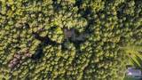 3241 Tabor Road - Photo 4