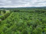 65 ACRES Harris Drive - Photo 10